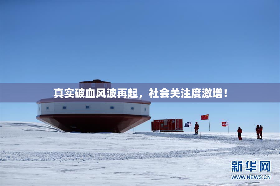 真实破血风波再起，社会关注度激增！