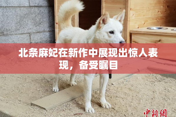 北条麻妃在新作中展现出惊人表现，备受瞩目