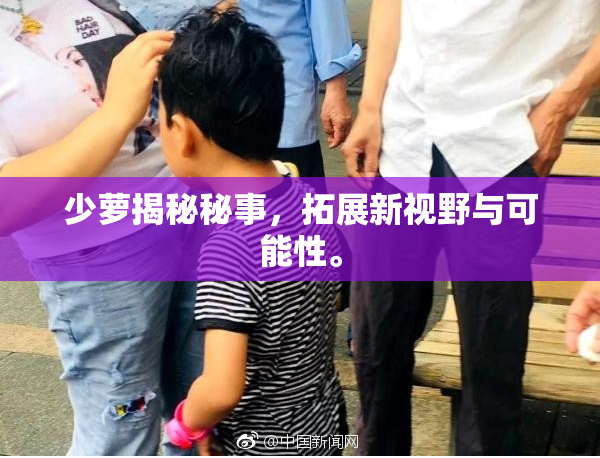 少萝揭秘秘事，拓展新视野与可能性。
