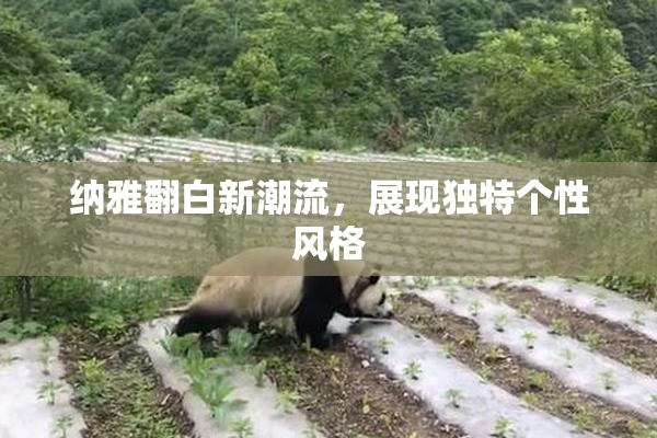 纳雅翻白新潮流，展现独特个性风格