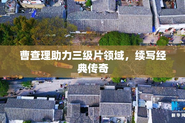 曹查理助力三级片领域，续写经典传奇
