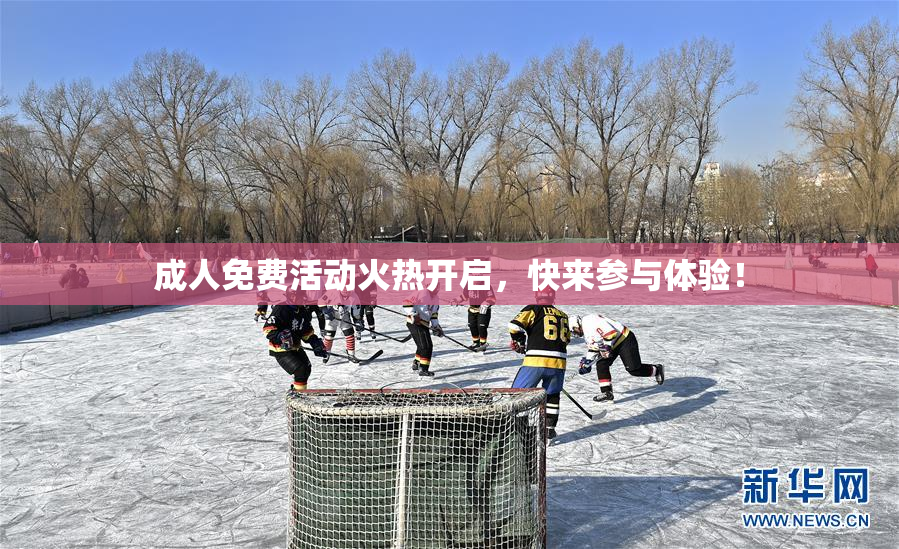 成人免费活动火热开启，快来参与体验！