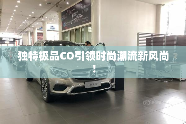 独特极品CO引领时尚潮流新风尚！