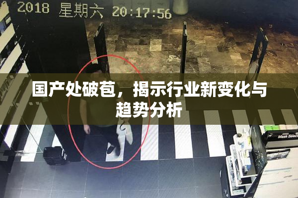 国产处破苞，揭示行业新变化与趋势分析