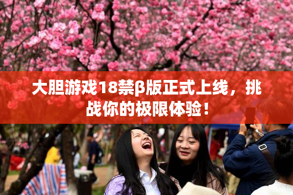 大胆游戏18禁β版正式上线，挑战你的极限体验！
