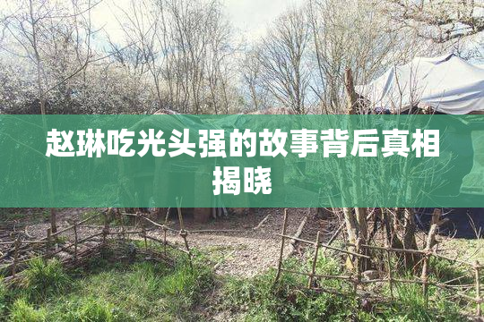 赵琳吃光头强的故事背后真相揭晓