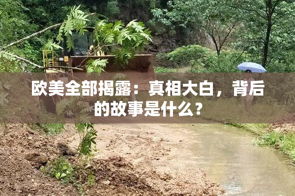 欧美全部揭露：真相大白，背后的故事是什么？