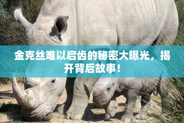 金克丝难以启齿的秘密大曝光，揭开背后故事！