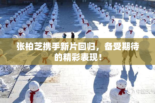 张柏芝携手新片回归，备受期待的精彩表现！