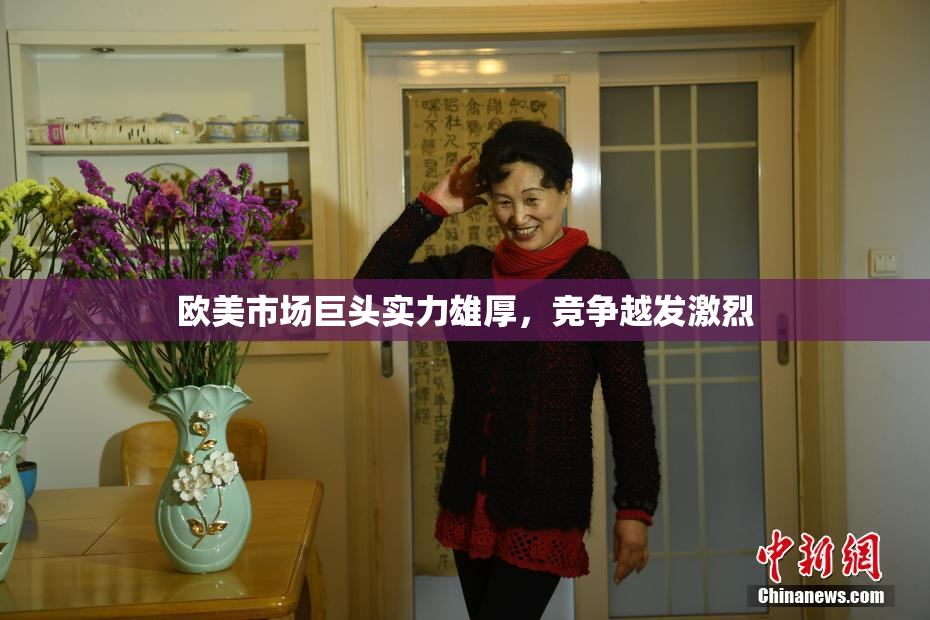 欧美市场巨头实力雄厚，竞争越发激烈