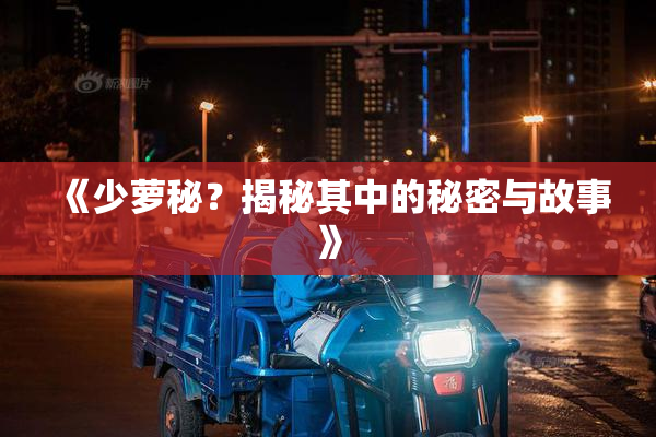 《少萝秘？揭秘其中的秘密与故事》