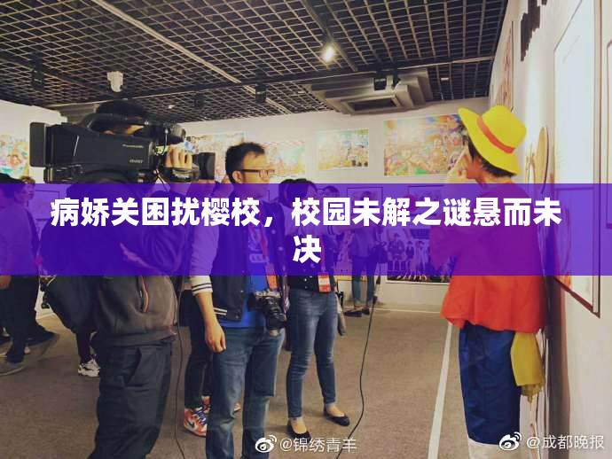 病娇关困扰樱校，校园未解之谜悬而未决