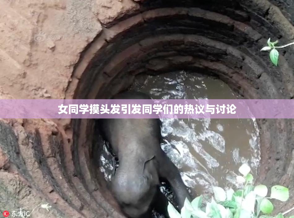 女同学摸头发引发同学们的热议与讨论