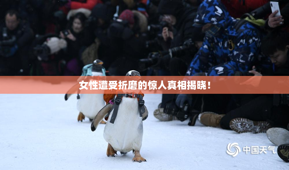 女性遭受折磨的惊人真相揭晓！