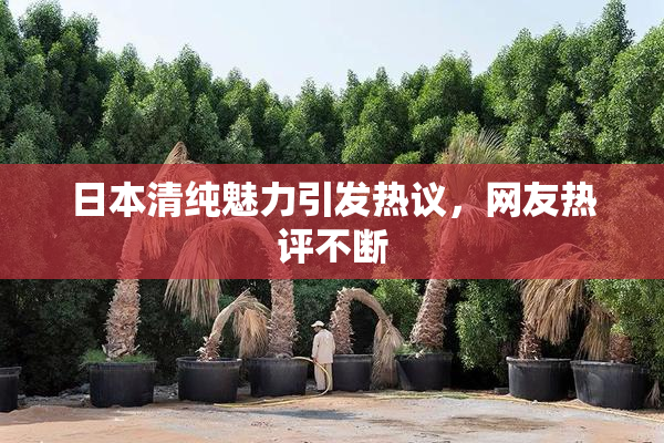 日本清纯魅力引发热议，网友热评不断