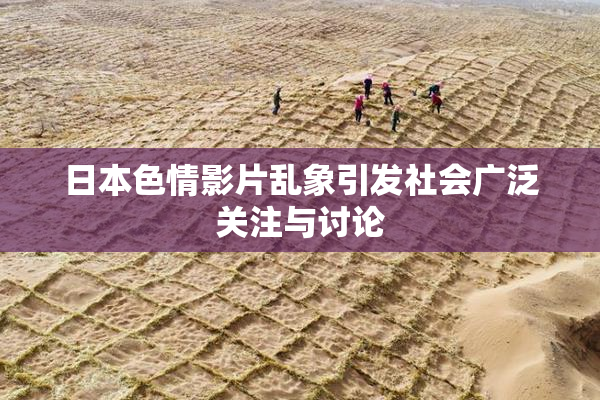日本色情影片乱象引发社会广泛关注与讨论