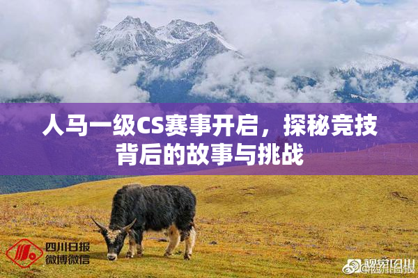 人马一级CS赛事开启，探秘竞技背后的故事与挑战
