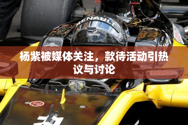 杨紫被媒体关注，款待活动引热议与讨论