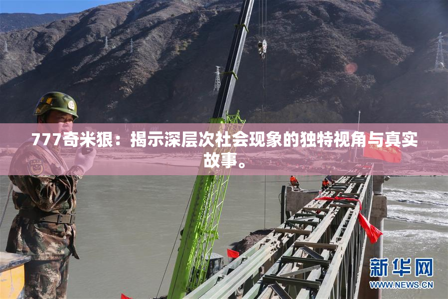 777奇米狠：揭示深层次社会现象的独特视角与真实故事。