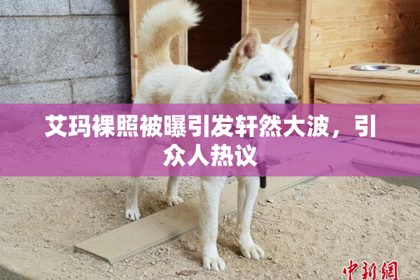 艾玛裸照被曝引发轩然大波，引众人热议