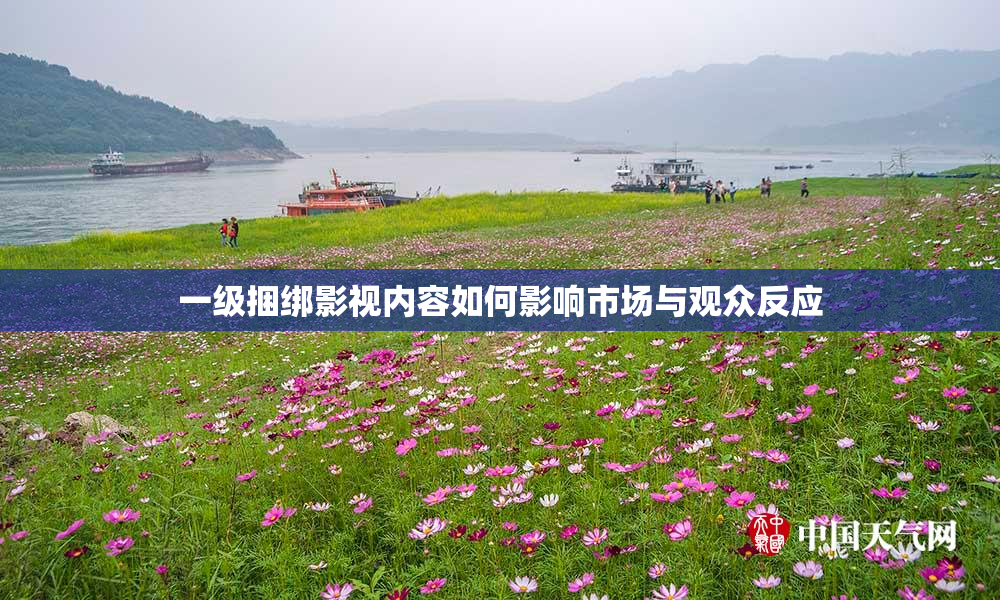 一级捆绑影视内容如何影响市场与观众反应