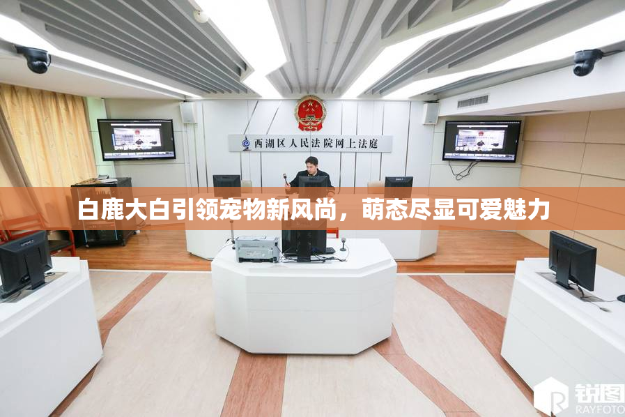 白鹿大白引领宠物新风尚，萌态尽显可爱魅力