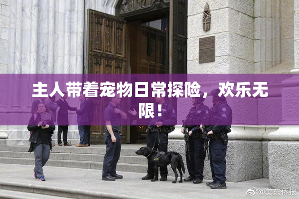 主人带着宠物日常探险，欢乐无限！