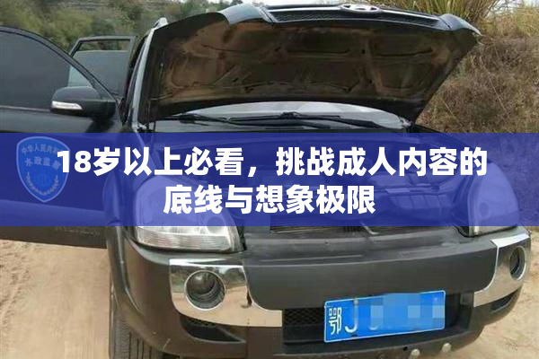 18岁以上必看，挑战成人内容的底线与想象极限