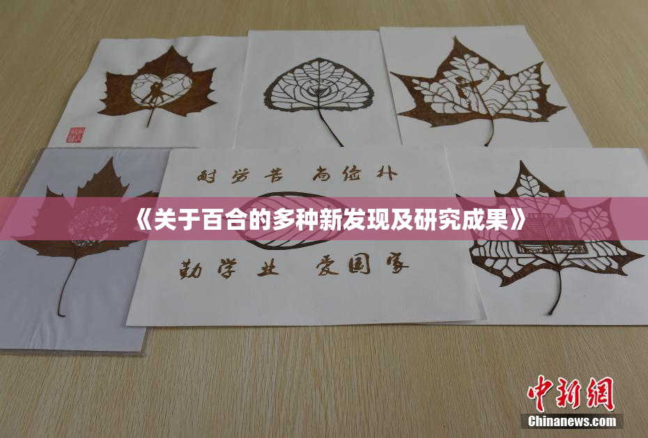 《关于百合的多种新发现及研究成果》