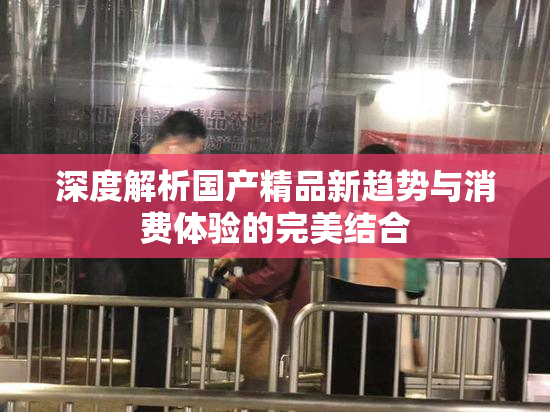 深度解析国产精品新趋势与消费体验的完美结合