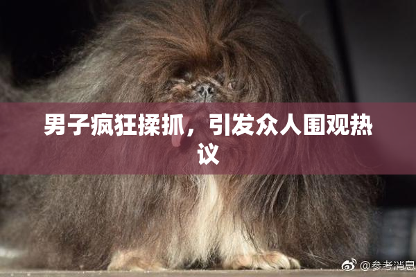 男子疯狂揉抓，引发众人围观热议