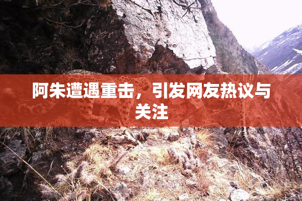 阿朱遭遇重击，引发网友热议与关注