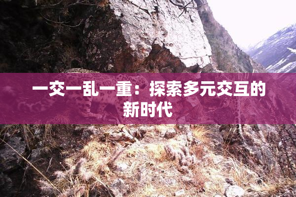 一交一乱一重：探索多元交互的新时代