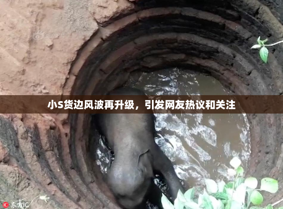 小S货边风波再升级，引发网友热议和关注