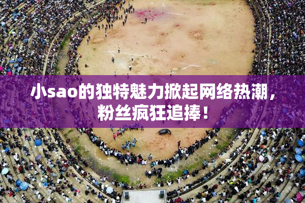 小sao的独特魅力掀起网络热潮，粉丝疯狂追捧！