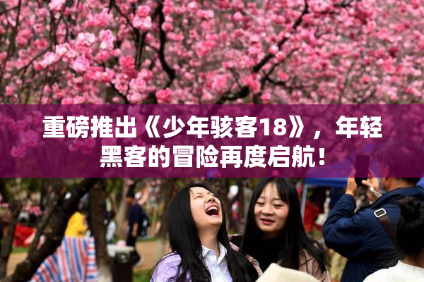 重磅推出《少年骇客18》，年轻黑客的冒险再度启航！