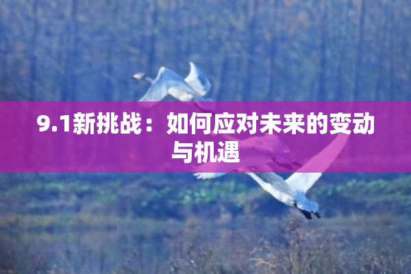 9.1新挑战：如何应对未来的变动与机遇
