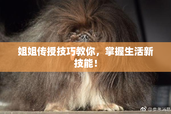 姐姐传授技巧教你，掌握生活新技能！