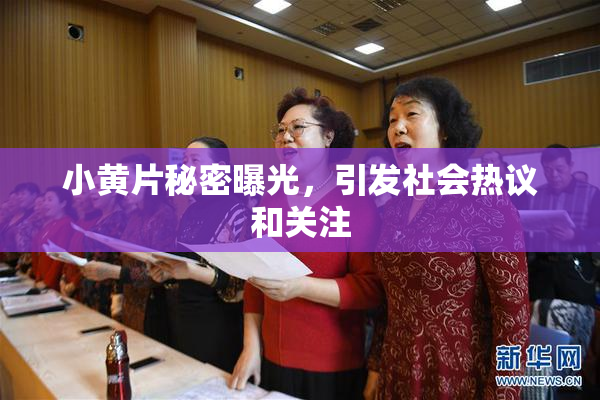 小黄片秘密曝光，引发社会热议和关注