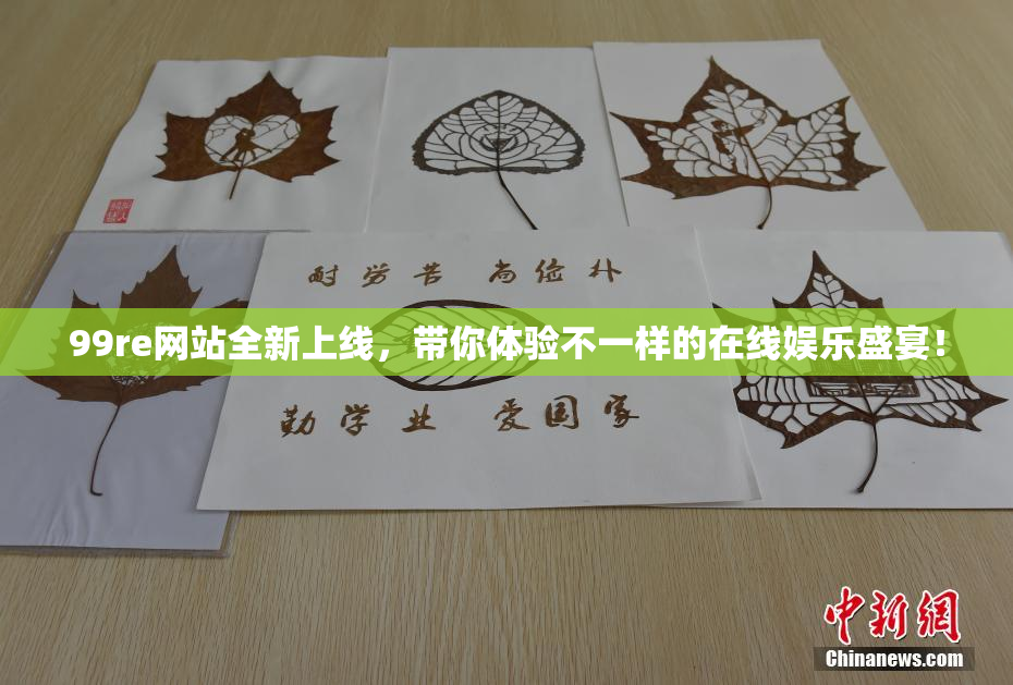 99re网站全新上线，带你体验不一样的在线娱乐盛宴！