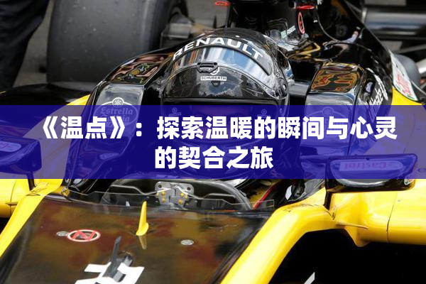 《温点》：探索温暖的瞬间与心灵的契合之旅