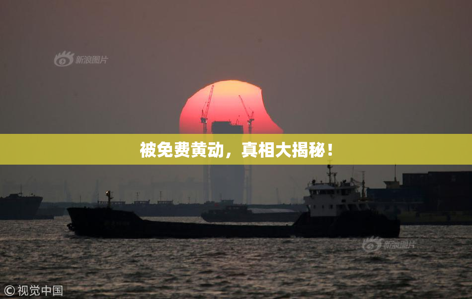被免费黄动，真相大揭秘！