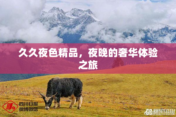 久久夜色精品，夜晚的奢华体验之旅