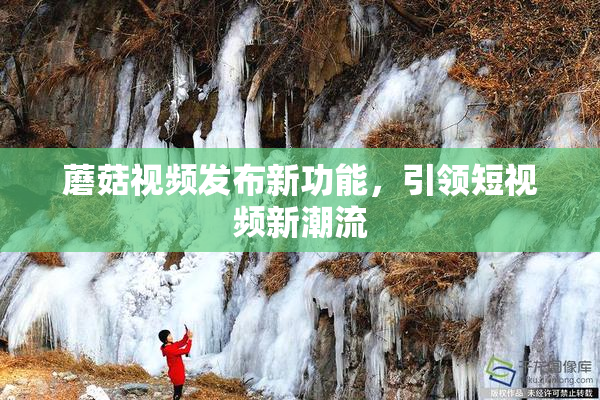 蘑菇视频发布新功能，引领短视频新潮流