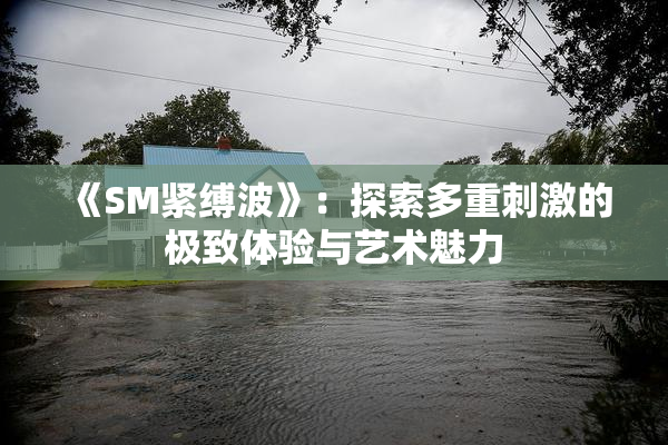 《SM紧缚波》：探索多重刺激的极致体验与艺术魅力