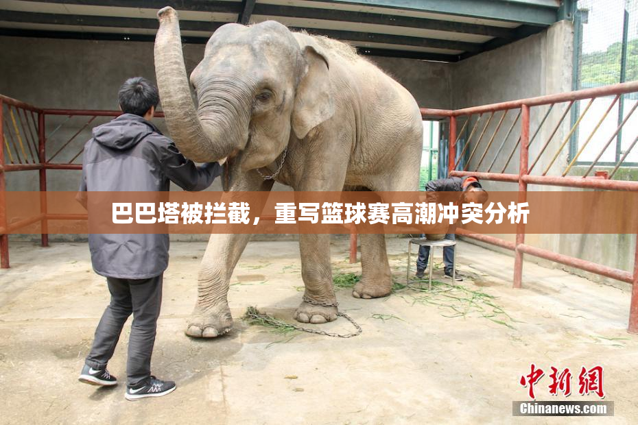 巴巴塔被拦截，重写篮球赛高潮冲突分析