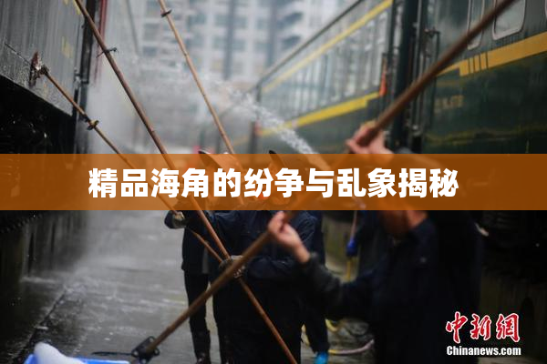 精品海角的纷争与乱象揭秘