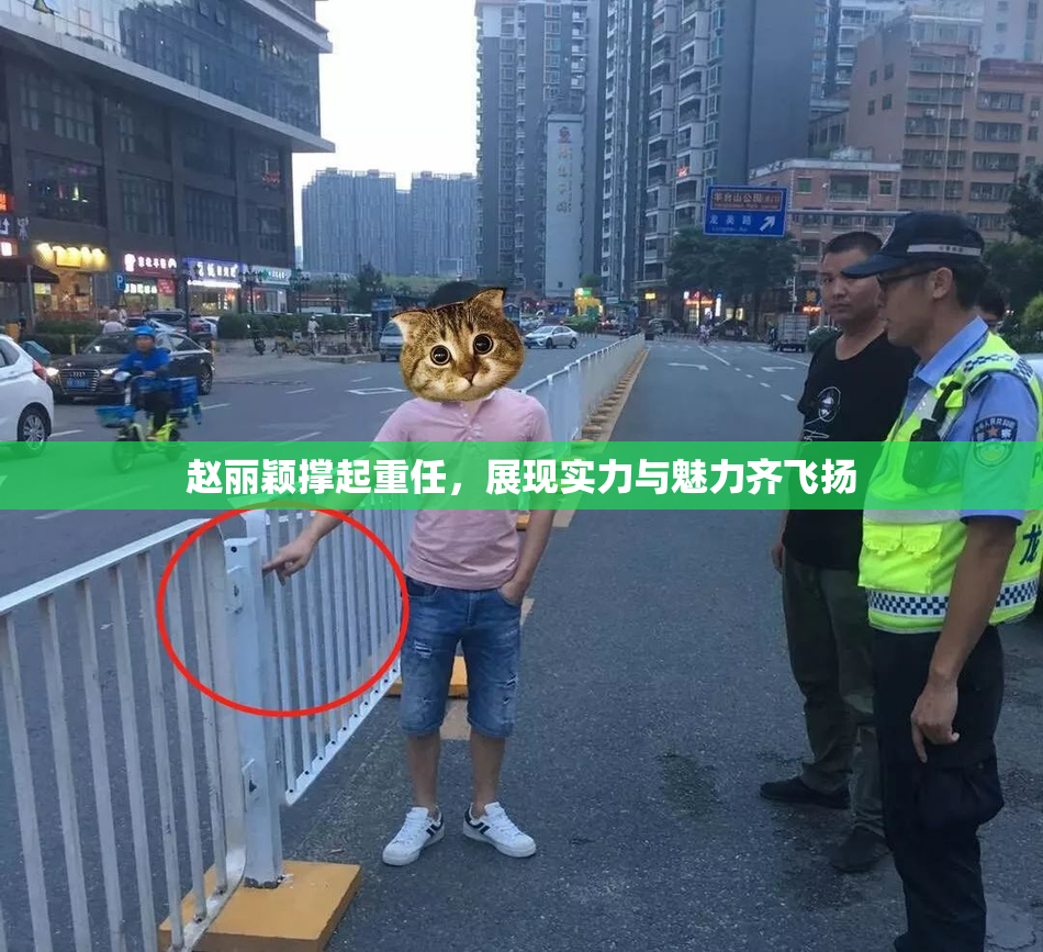 赵丽颖撑起重任，展现实力与魅力齐飞扬