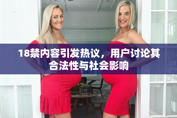 18禁内容引发热议，用户讨论其合法性与社会影响