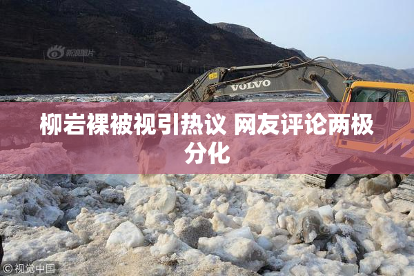 柳岩裸被视引热议 网友评论两极分化